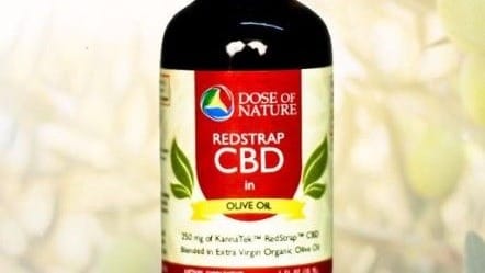 Cannabanoids for Dementia: The Potential of Cannabis in Treating Symptoms