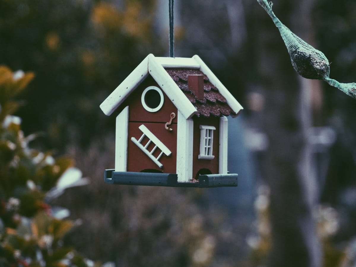 Caregiver is Considering  Starting a Personal Care Home To Provide Care for Family Members