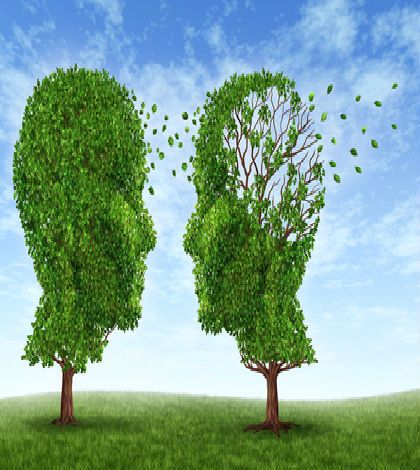 Understanding Aging and Alzheimer's Disease