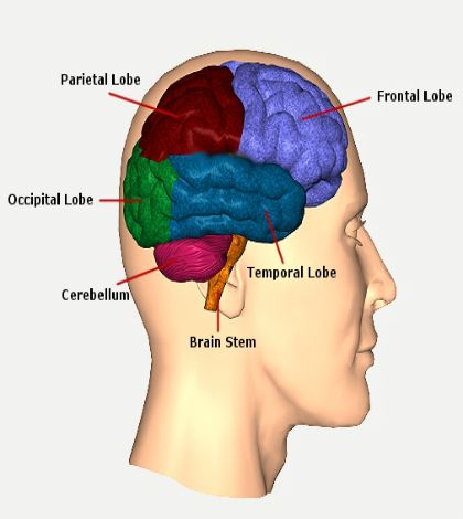 Early Onset Dementia: A Devastating Form of Alzheimer's