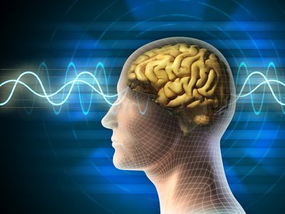 What are the Types of Parkinson's Related Dementia?