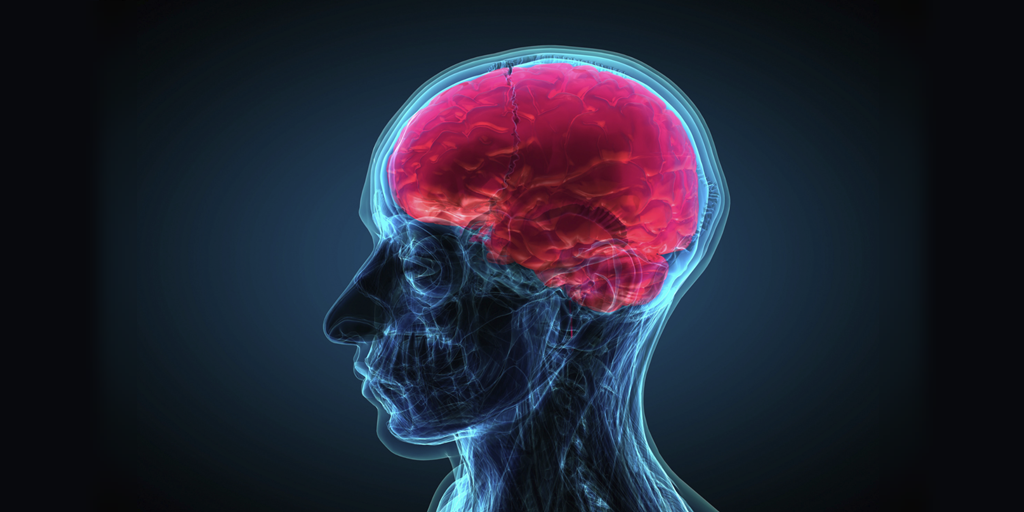 Multiple Sclerosis Dementia Like Symptoms