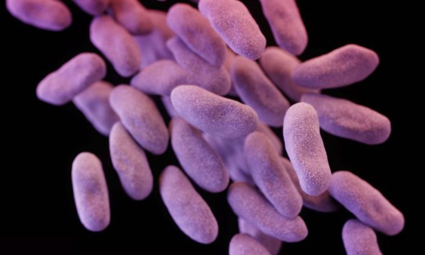 Protect Yourself from Antibiotic Resistant Bacteria Superbugs