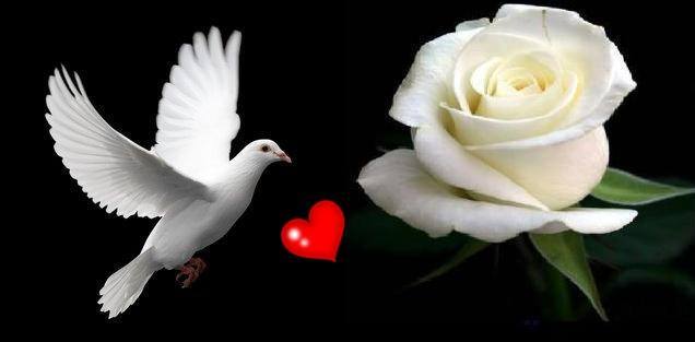 End of Life Denial, Decisions and Caregiving