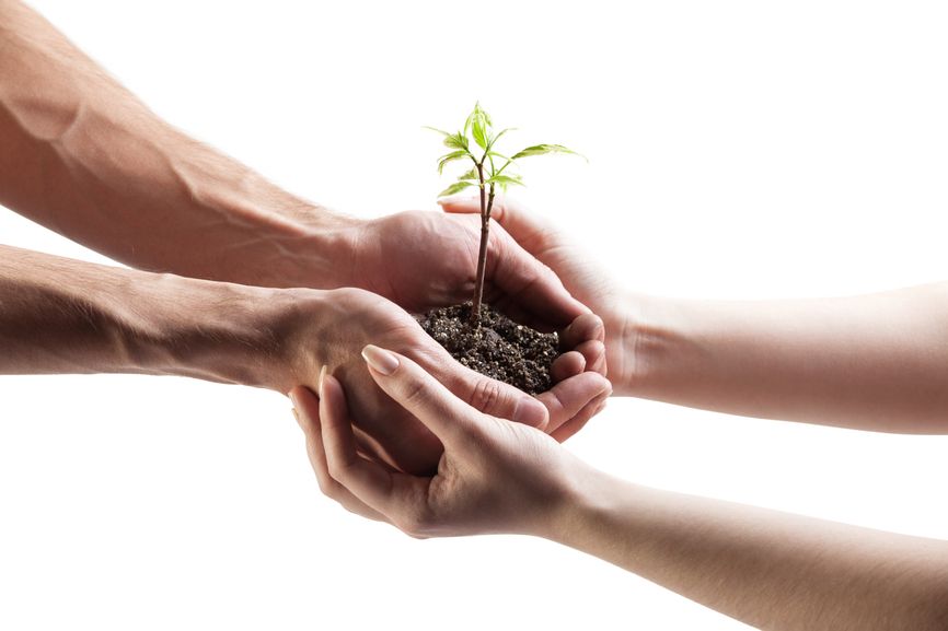 The Future Assisted Living Is In Our Hands- Part 4