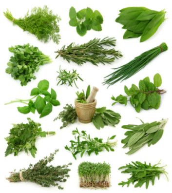 Alzheimer's Disease And Alternative Medicine